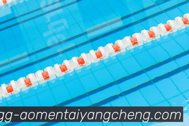 太阳城平台平台生态图